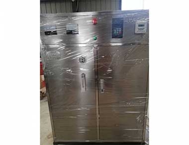 小型水冷式臭氧發生器 小型水冷(lěng)式臭(chòu)氧發生器(qì)